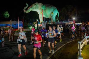 BIB: 
                            <button type="button" onclick="openModal(26552298)" class="btn btn-primary btn-sm float-right btn-popup" data-toggle="modal" data-target=".modal-high-quality">
                        <i class="fas fa-shopping-cart"></i> Add to Cart
                    </button>
                                            <button type="button" onclick="isThisMe(26552298, true)" class="btn btn-success btn-sm float-right btn-popup btn-isme hidden" data-toggle="tooltip" data-placement="bottom" title="นี่คือรูปของคุณใช่ไหม คลิกที่นี่เพื่อเอาเข้าอัลบั้ม">
                        <i class="fas fa-plus"></i> Add to album
                    </button>
                    <button type="button" onclick="isThisMe(26552298, false)" class="btn btn-warning btn-sm float-right btn-popup btn-isnotme hidden">
                        <i class="fas fa-ban"></i> Remove from album
                    </button>